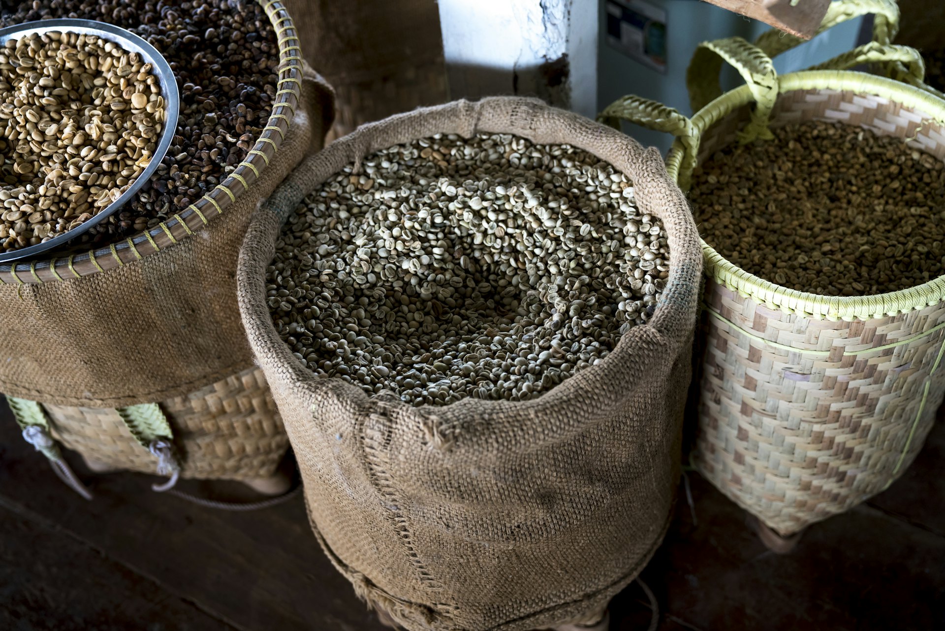 Fresh coffee beans roasted and raw in burlap sack at plantation
